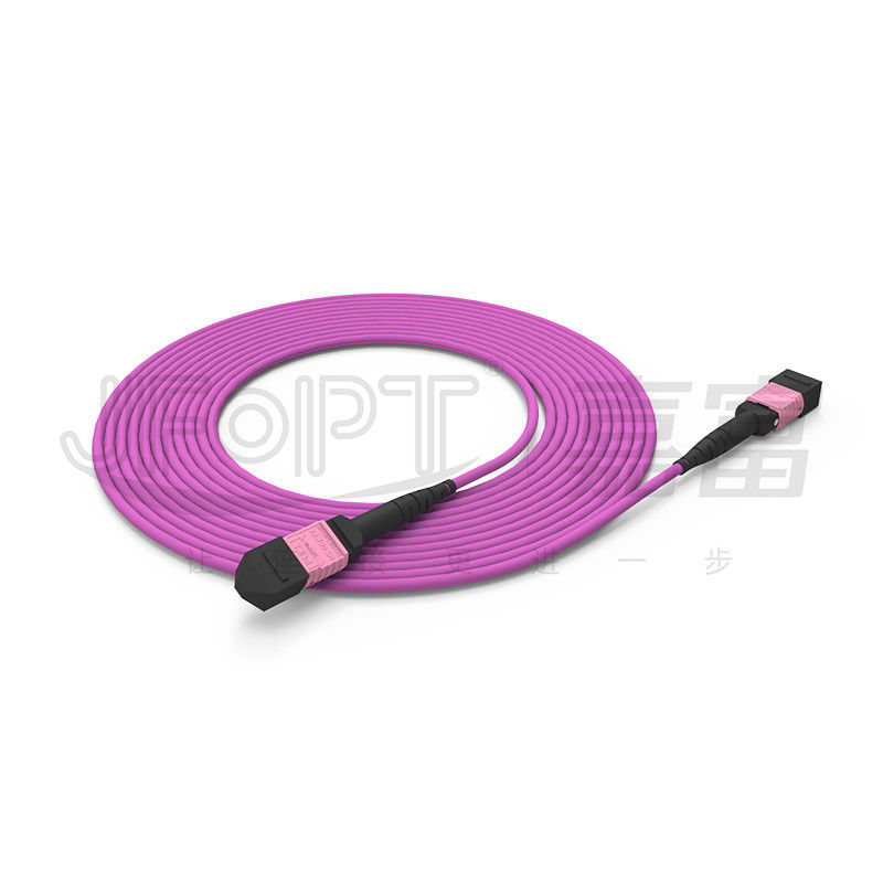 100G MTP Yama Kablosu 24 Çekirdek Çok Modlu OM4 50/125 LSZH 3.0-4.0mm Heather Violet Jumper