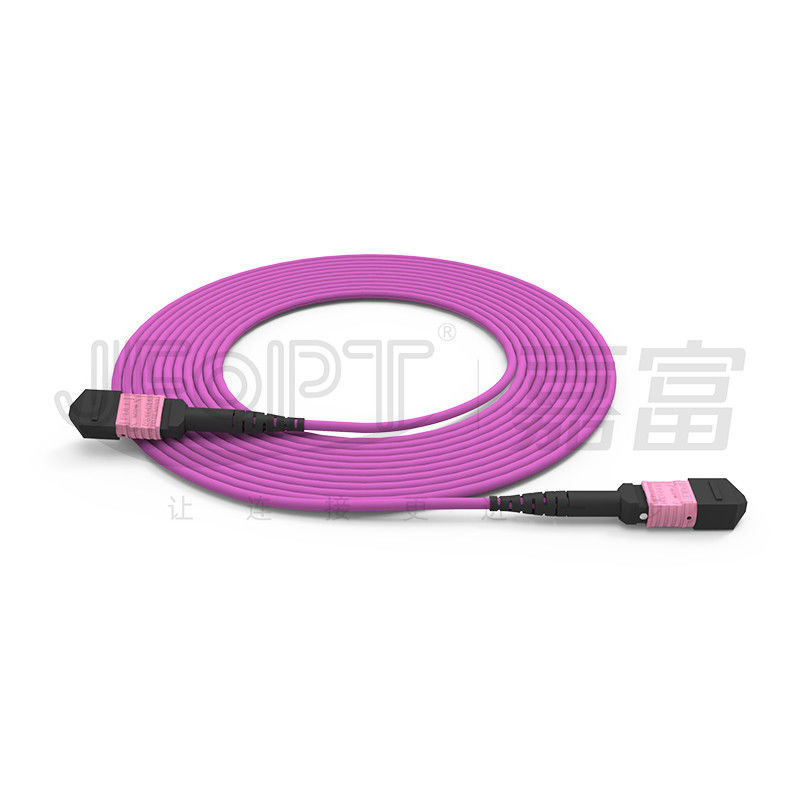 100G MTP Yama Kablosu 24 Çekirdek Çok Modlu OM4 50/125 LSZH 3.0-4.0mm Heather Violet Jumper