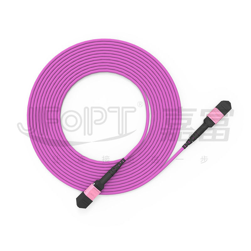 100G MTP Yama Kablosu 24 Çekirdek Çok Modlu OM4 50/125 LSZH 3.0-4.0mm Heather Violet Jumper