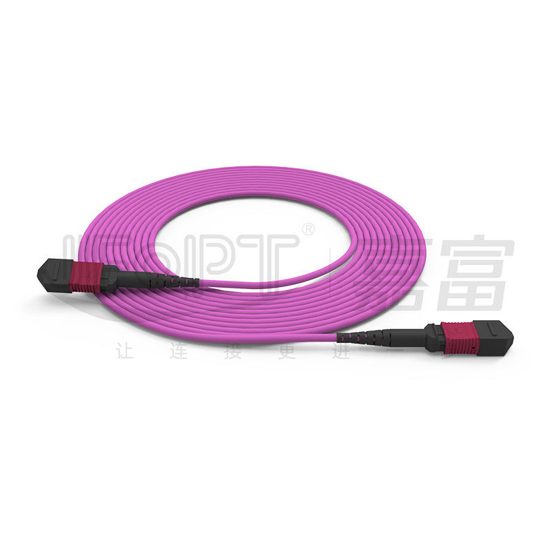 MPO-MPO Tek Tüp Gövde Kablosu 12 Çekirdek 2.0mm OM3 OM4 Mor Fiber Kablo