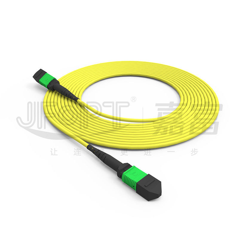 24 çekirdekli tek modlu MPO gövde kablosu G657A1/G657A2 Backbone Jumper