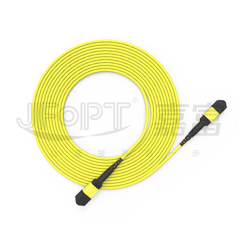 24 çekirdekli tek modlu MPO gövde kablosu G657A1/G657A2 Backbone Jumper